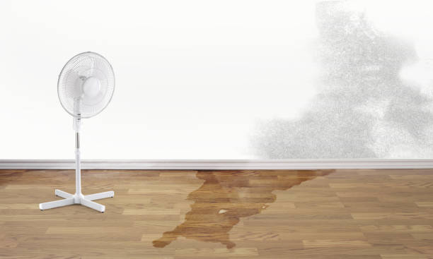 Best Flooded house restoration  in Morada, CA