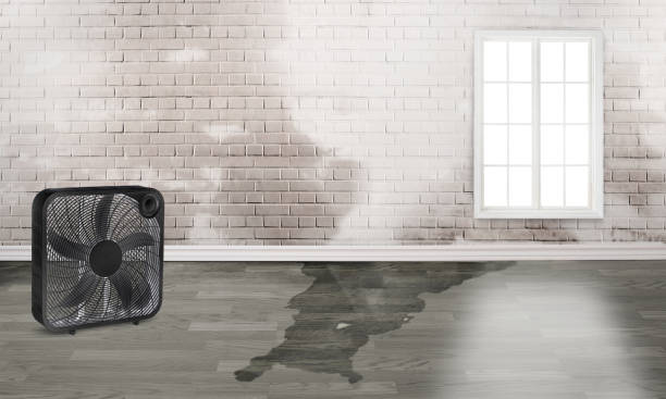 Best Commercial water damage restoration  in Morada, CA