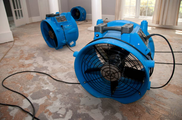 Best Carpet water damage restoration  in Morada, CA