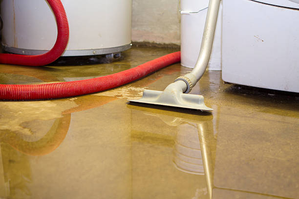 Best Ceiling water damage repair  in Morada, CA