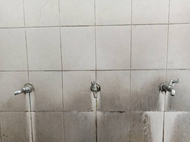 Best Professional water damage repair  in Morada, CA