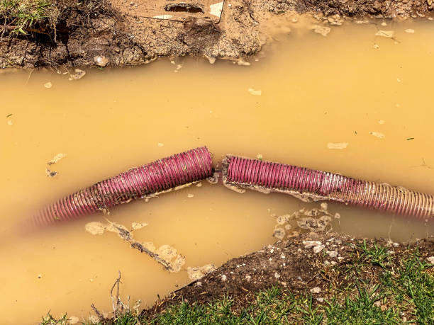 Best Water damage contractors near me  in Morada, CA