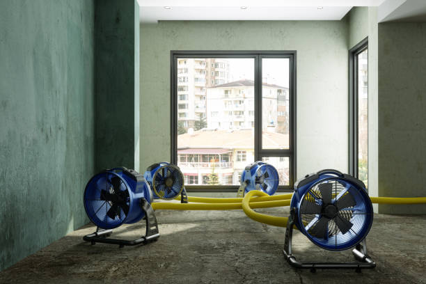Best Sewage cleanup and water damage restoration  in Morada, CA